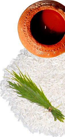 rice